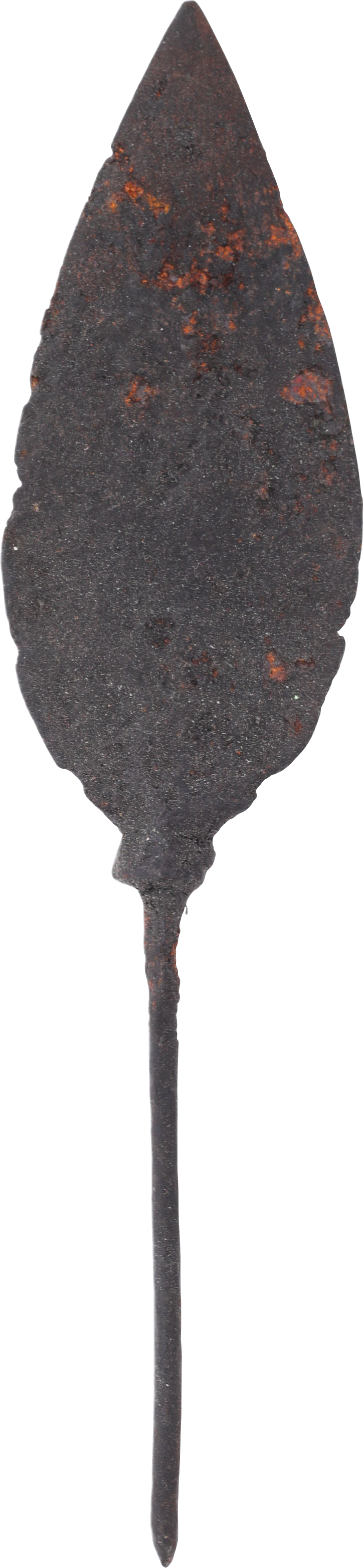 VIKING TANGED ARROWHEAD, 850-1000 AD - Fagan Arms