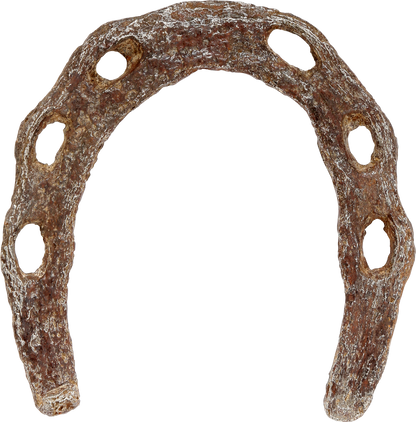 VIKING HORSESHOE, 8th-11th CENTURY - Viking Hoard