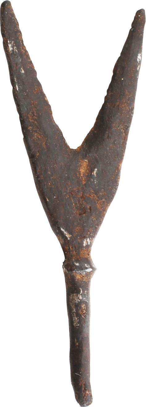 RARE VIKING FORKED ARROWHEAD, 10th-11th CENTURY AD - Viking Hoard