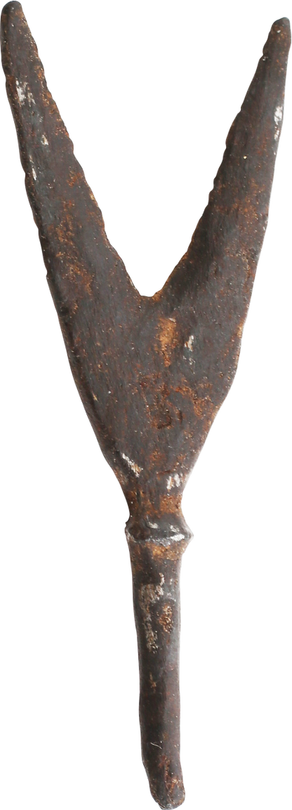 RARE VIKING FORKED ARROWHEAD, 10th-11th CENTURY AD - Viking Hoard