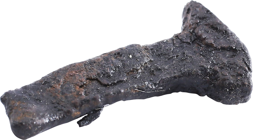 VIKING HORSESHOE NAIL - Viking Hoard