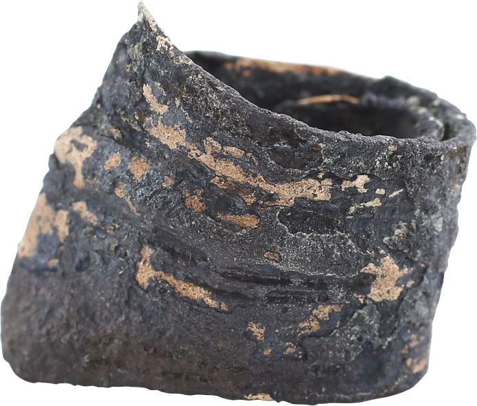 VIKING WARRIOR’S FUNERARY RING C.850-1050 AD - Viking Hoard