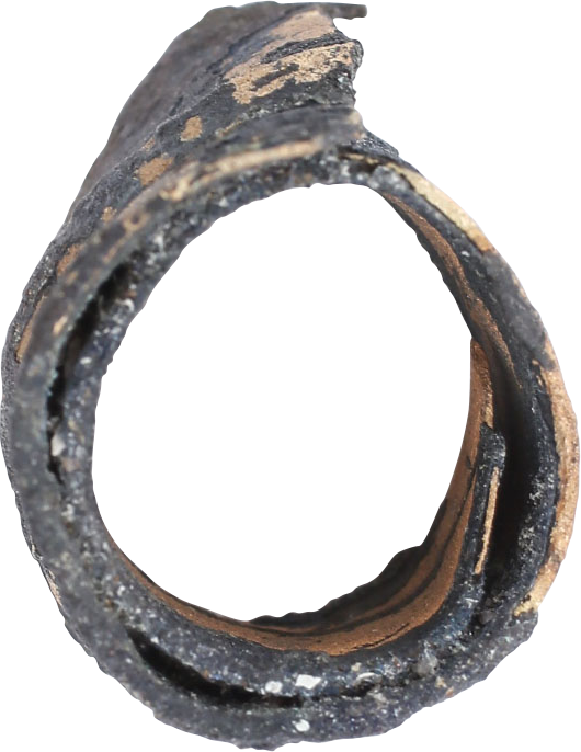 VIKING WARRIOR’S FUNERARY RING C.850-1050 AD - Viking Hoard