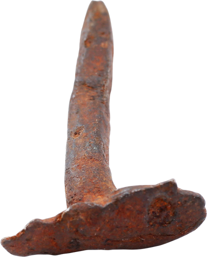 VIKING HORSESHOE NAIL, 866-1067 AD - Viking Hoard