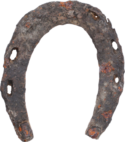 VIKING HORSESHOE, 10TH-11TH CENTURY - Viking Hoard