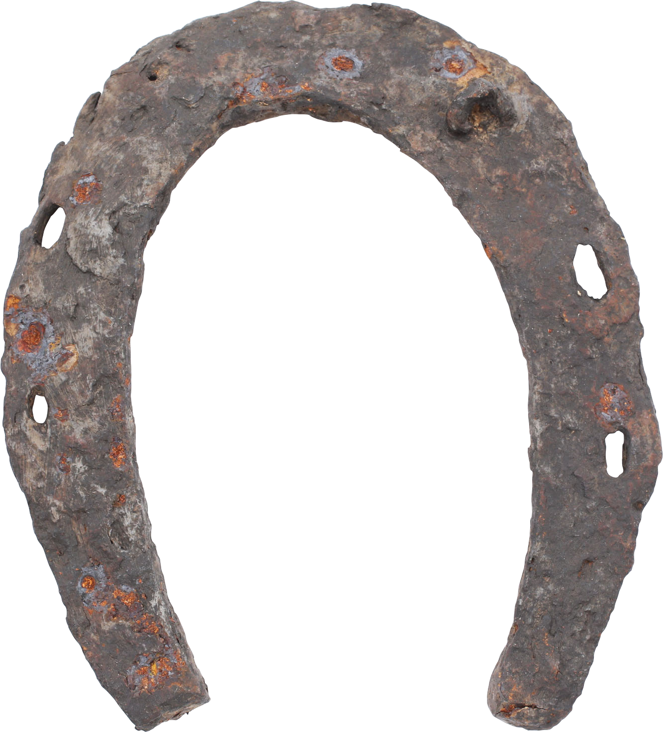 VIKING HORSESHOE, 10TH-11TH CENTURY - Viking Hoard