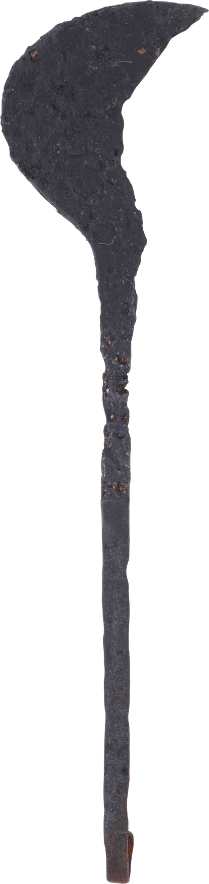 VIKING AGRICULTURAL SICKLE, 866-1067 AD - Viking Hoard