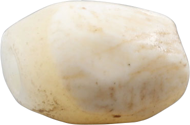 VIKING SHELL BEAD, 800-1050 AD - Fagan Arms