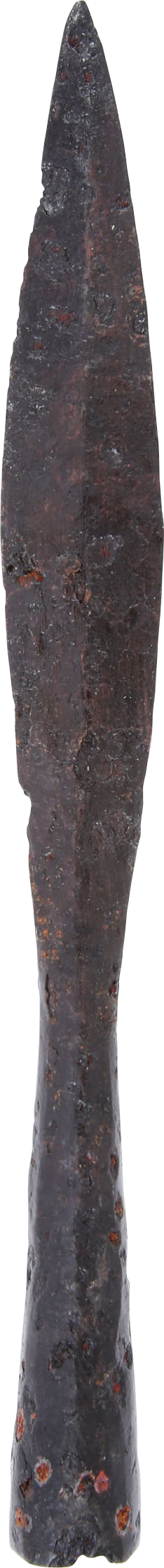 VIKING SPEAR HEAD - Viking Hoard