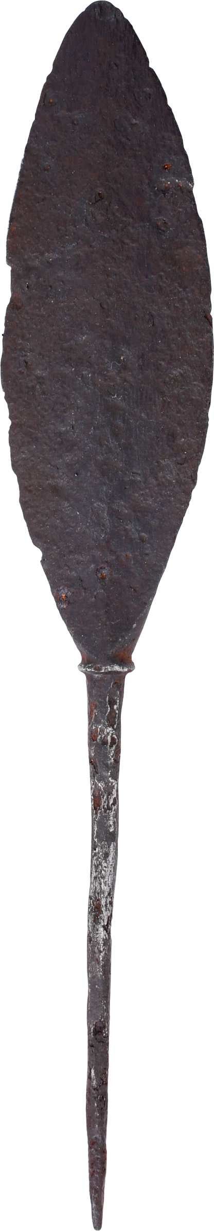 VIKING GRAVE GOODS, YORKSHIRE ENGLAND - Fagan Arms