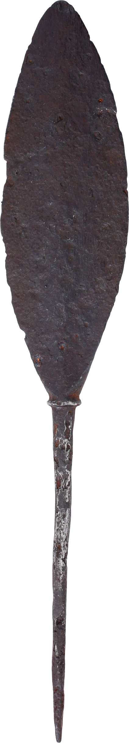 VIKING GRAVE GOODS, YORKSHIRE ENGLAND - Fagan Arms