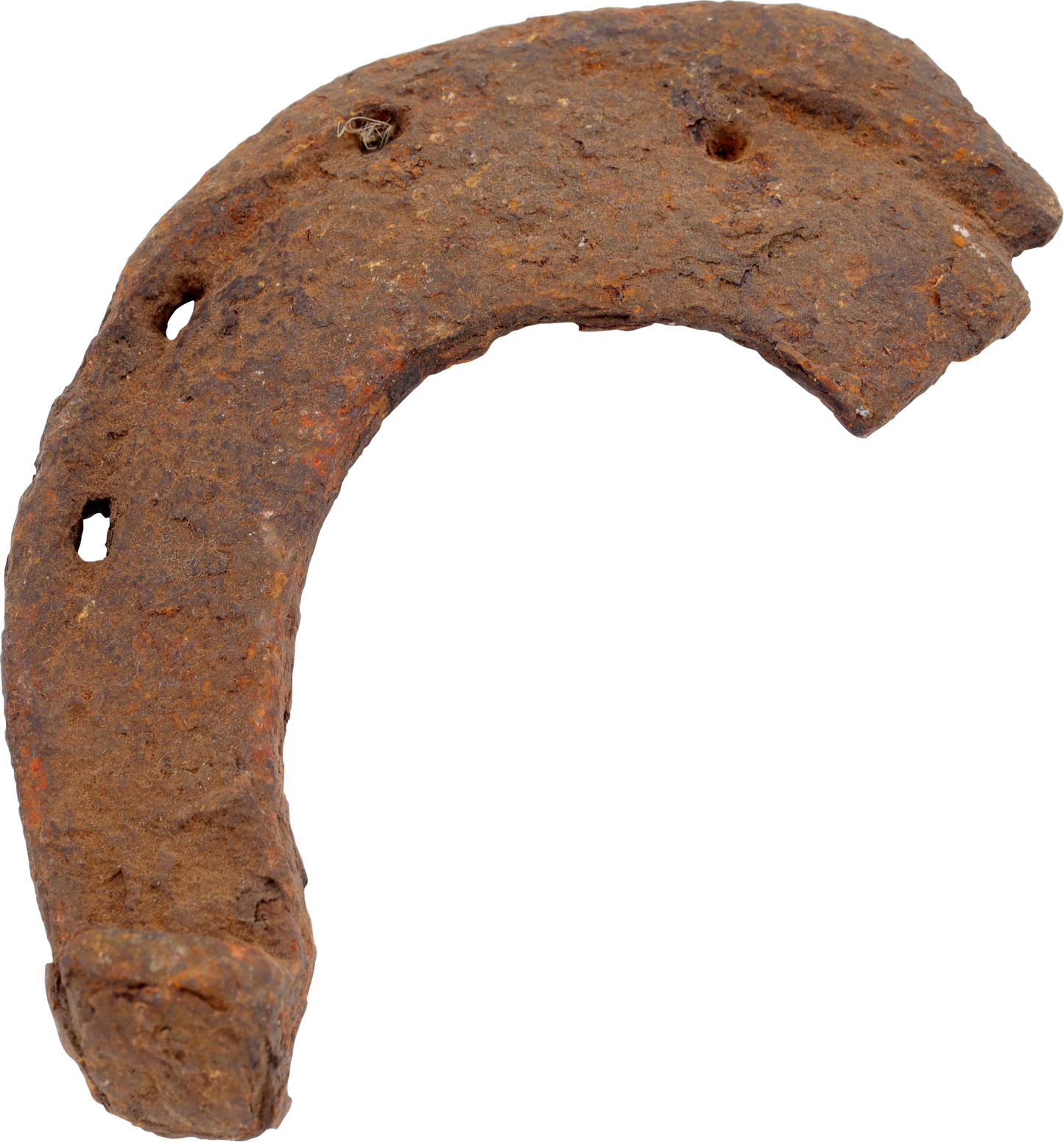 VIKING WARRIOR’S RITUALLY BROKEN HORSESHOE - Viking Hoard