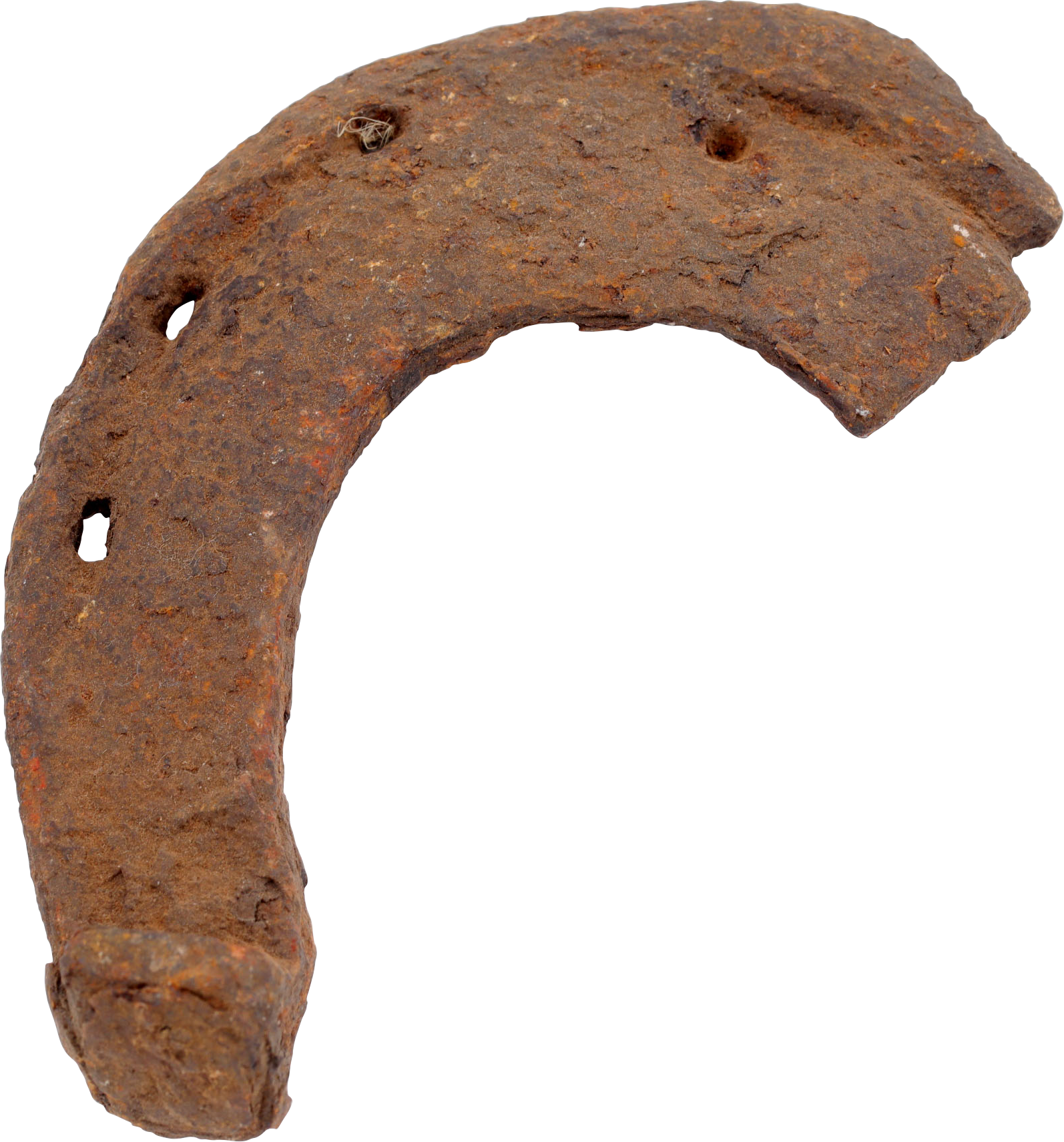 VIKING WARRIOR’S RITUALLY BROKEN HORSESHOE - Viking Hoard