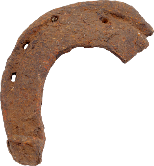 VIKING WARRIOR’S RITUALLY BROKEN HORSESHOE - Viking Hoard