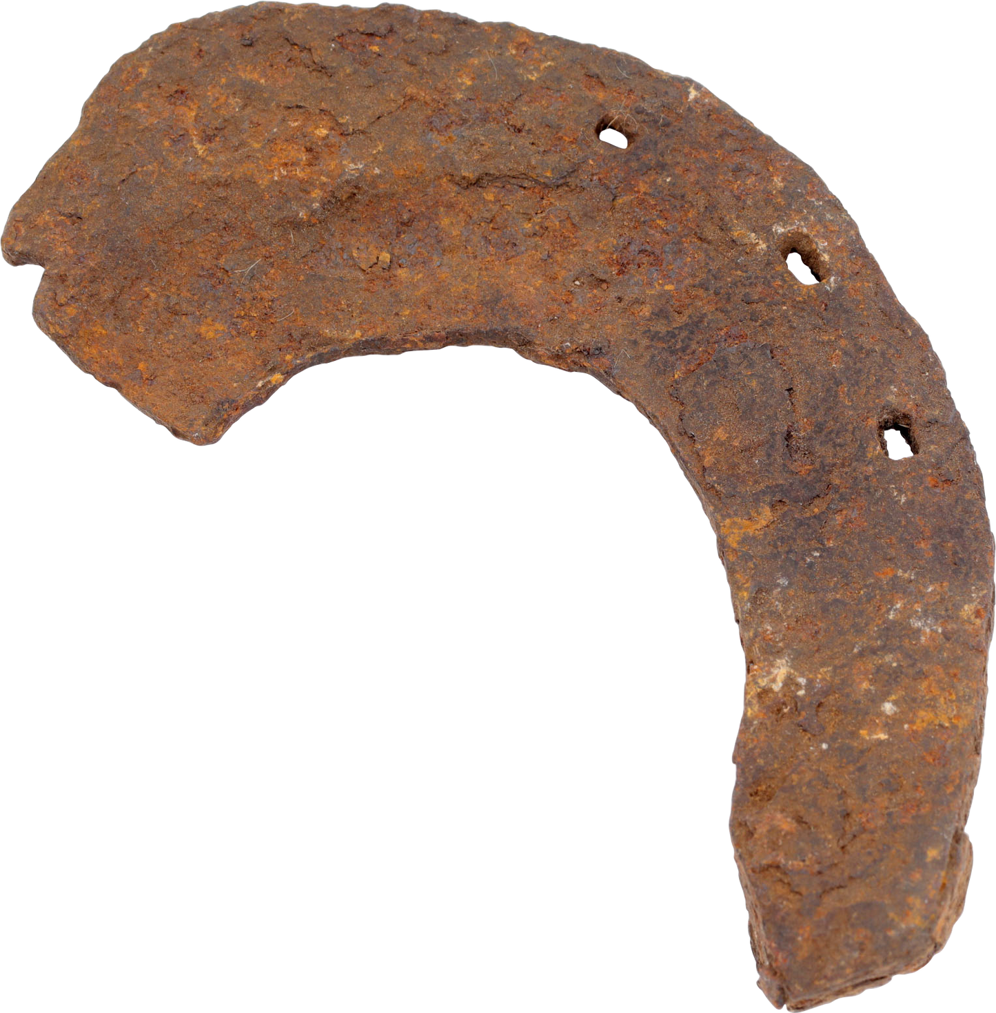 VIKING WARRIOR’S RITUALLY BROKEN HORSESHOE - Viking Hoard