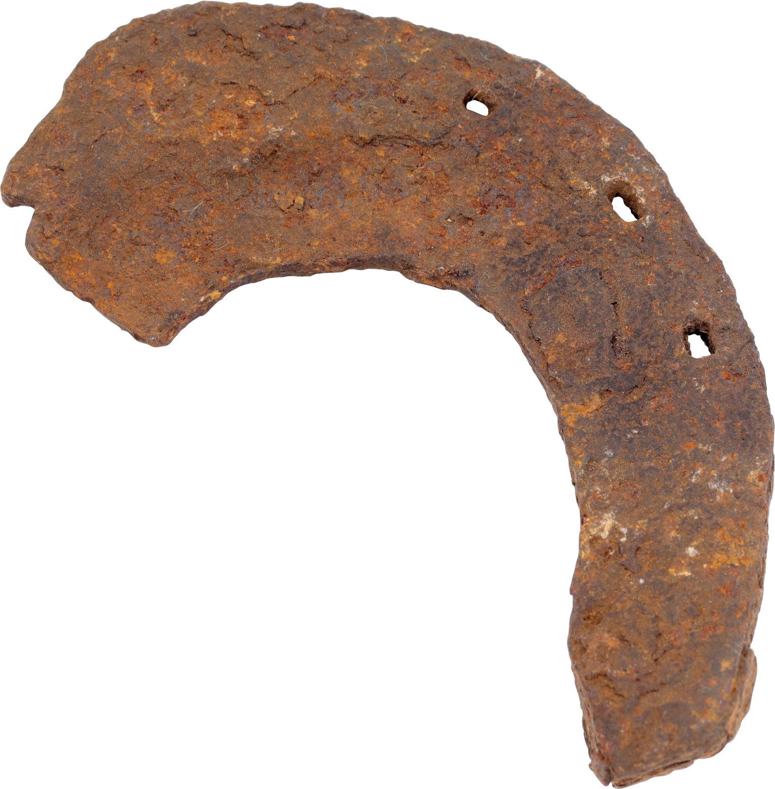 VIKING WARRIOR’S RITUALLY BROKEN HORSESHOE - Viking Hoard