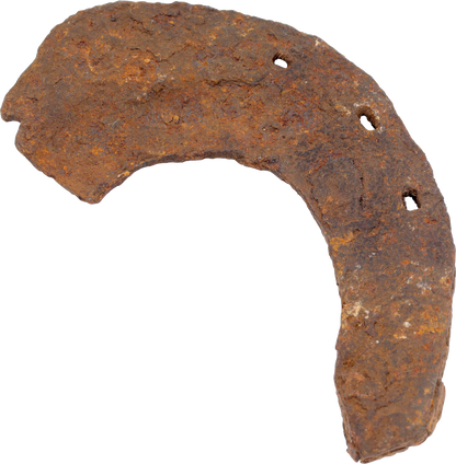 VIKING WARRIOR’S RITUALLY BROKEN HORSESHOE - Viking Hoard