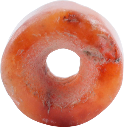VIKING CARNELIAN BEAD 800-1050AD - Viking Hoard