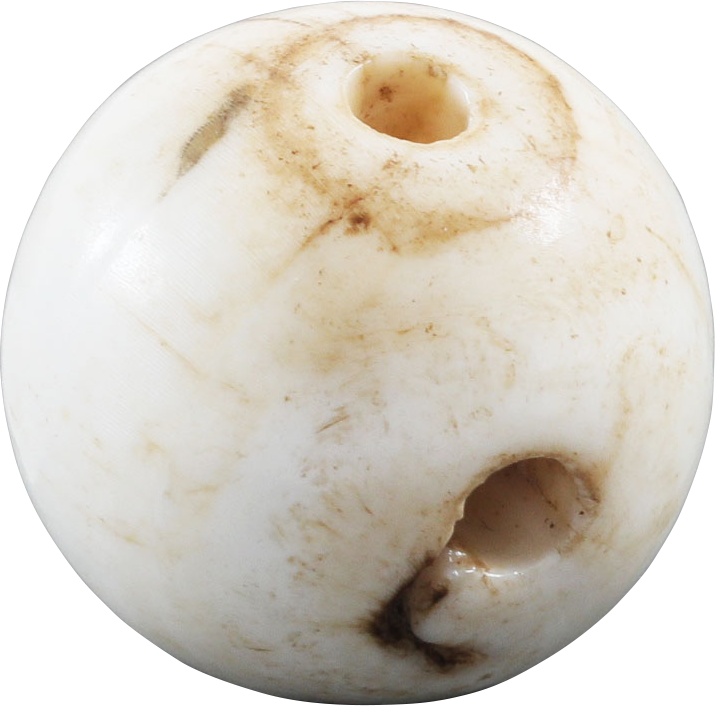 RARE VIKING SEA SHELL BEAD, 850-1050 AD - Fagan Arms