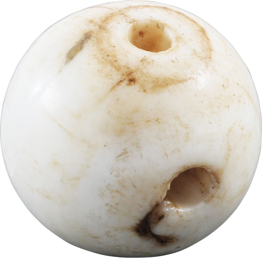 RARE VIKING SEA SHELL BEAD, 850-1050 AD - Fagan Arms