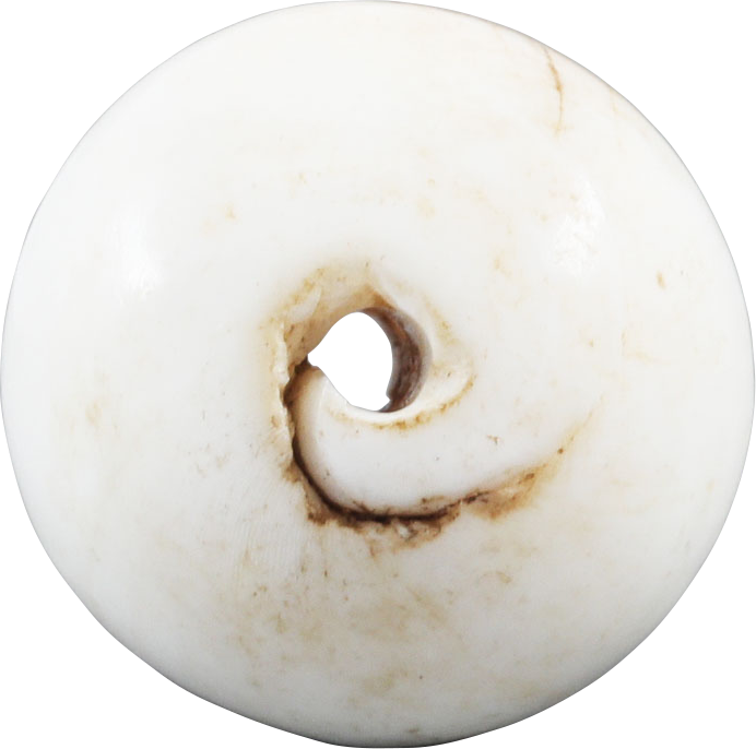 RARE VIKING SEA SHELL BEAD, 850-1050 AD - Fagan Arms