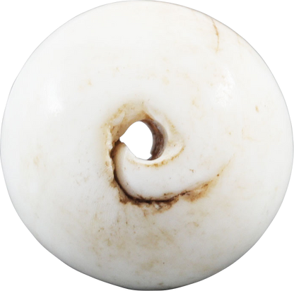 RARE VIKING SEA SHELL BEAD, 850-1050 AD - Fagan Arms