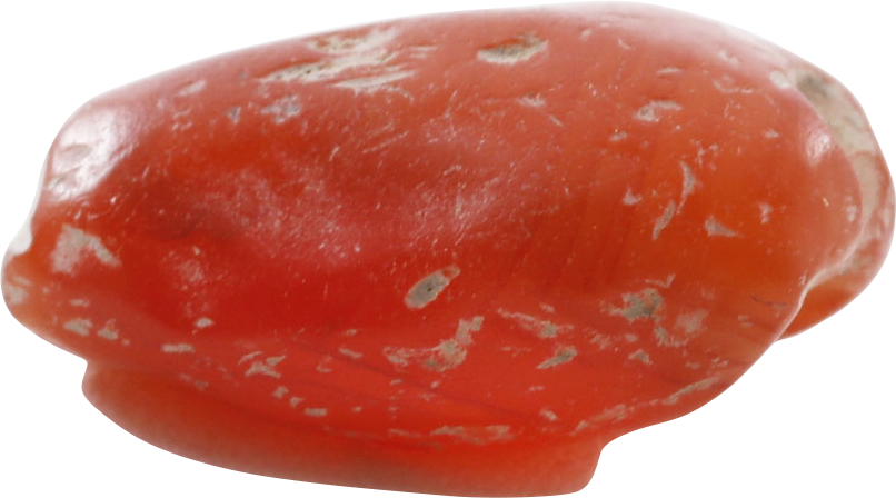 VIKING CARNELIAN BEAD C.900-1000 AD - Fagan Arms