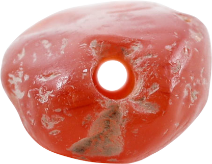 VIKING CARNELIAN BEAD C.900-1000 AD - Fagan Arms