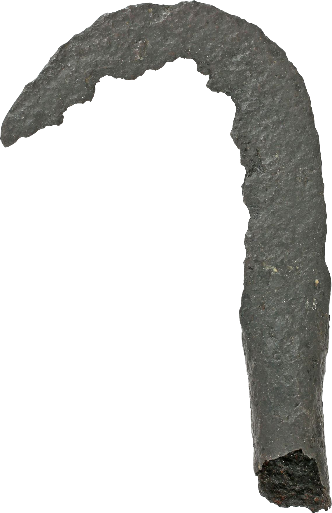 VIKING SOCKETED SICKLE 879-1067 AD - Viking Hoard